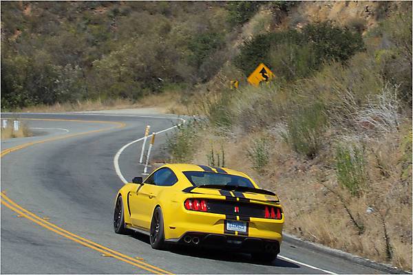 Ford Mustang Shelby GT350R, 600x400px, img-2